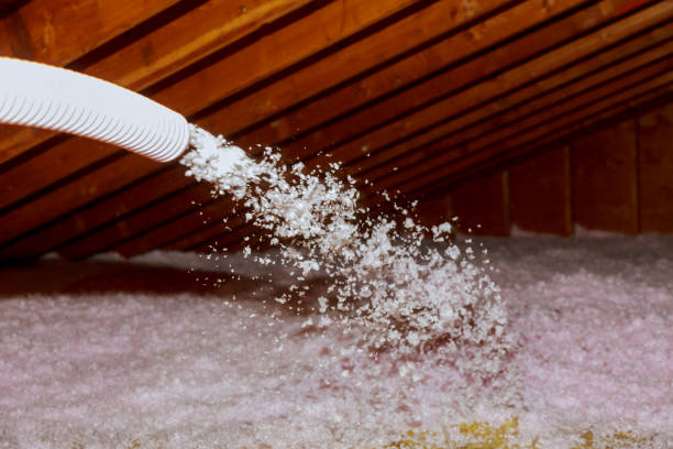 Best Insulation Contractors for Homes  in Trafford, PA