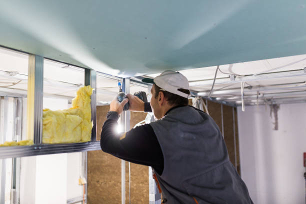 Best Professional Insulation Contractor  in Trafford, PA