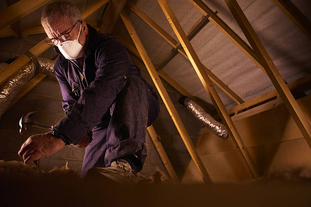 Best Insulation Replacement Services  in Trafford, PA